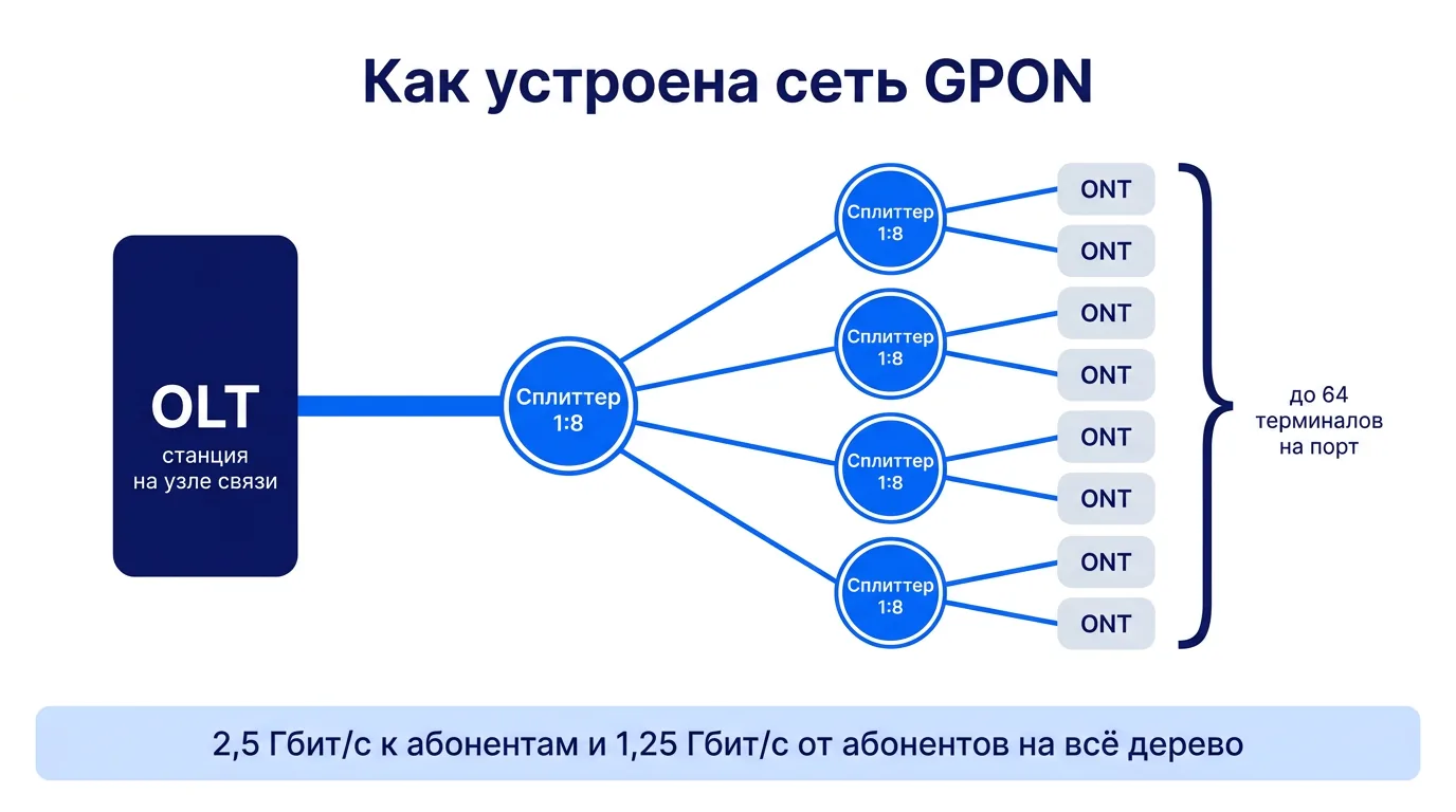 Схема сети GPON: станция OLT, сплиттеры 1:8 в два каскада и до 64 терминалов ONT на порт